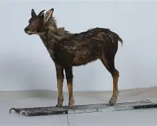 9俊哛j@]	柎74羚j扛D#槬辏0d-九游网页版